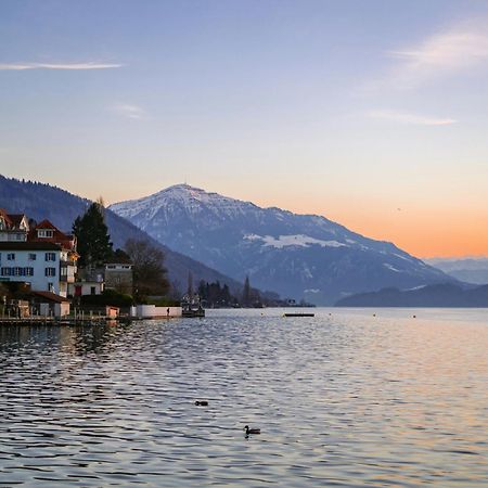 Ariser - Zug Mountain View Business Apartment Dış mekan fotoğraf